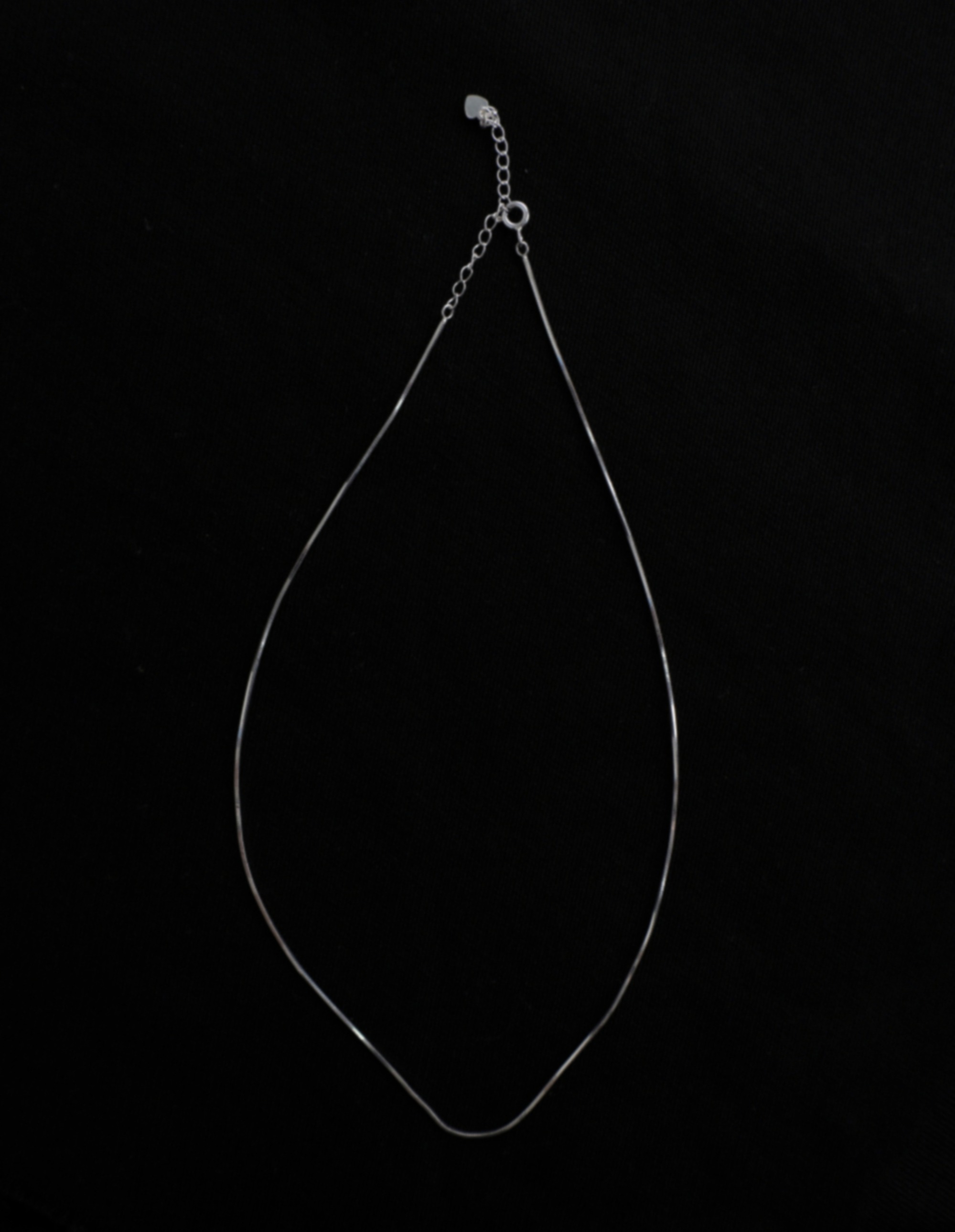 [Sliver925] Snake Chain Necklace